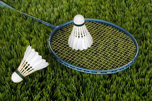 Badminton i praksis valg mellem single double klub og selvtræning